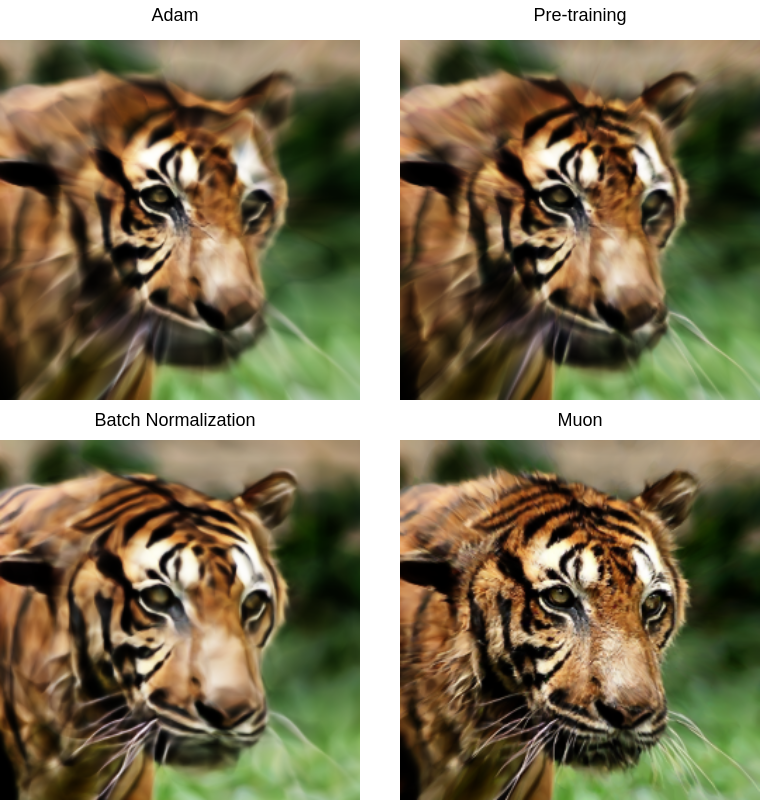 Tiger Reconstruction